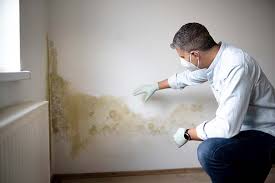 Best Emergency Mold Remediation  in Centerville, CA